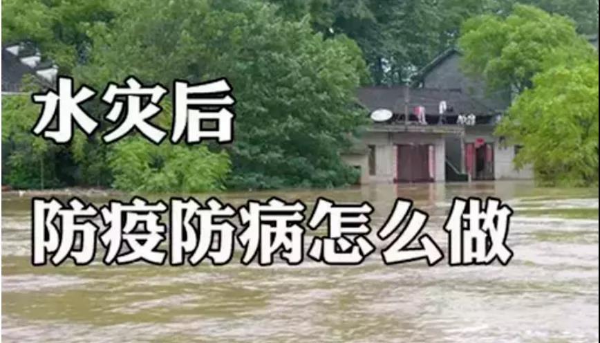 &#20061;&#28216;&#23089;&#20048;&#40;&#78;&#105;&#110;&#101;&#71;&#97;&#109;&#101;&#83;&#112;&#111;&#114;&#116;&#115;&#41;&#23448;&#26041;&#32593;&#31449;&#45;&#20061;&#28216;&#24341;&#39046;&#23089;&#20048;&#28526;&#27969;